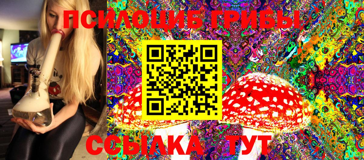 Ялта  где можно купить   Вход с VPN  Псилоцибиновые грибы Cubensis  Псилоцибиновые грибы Psilocybine cubensis 