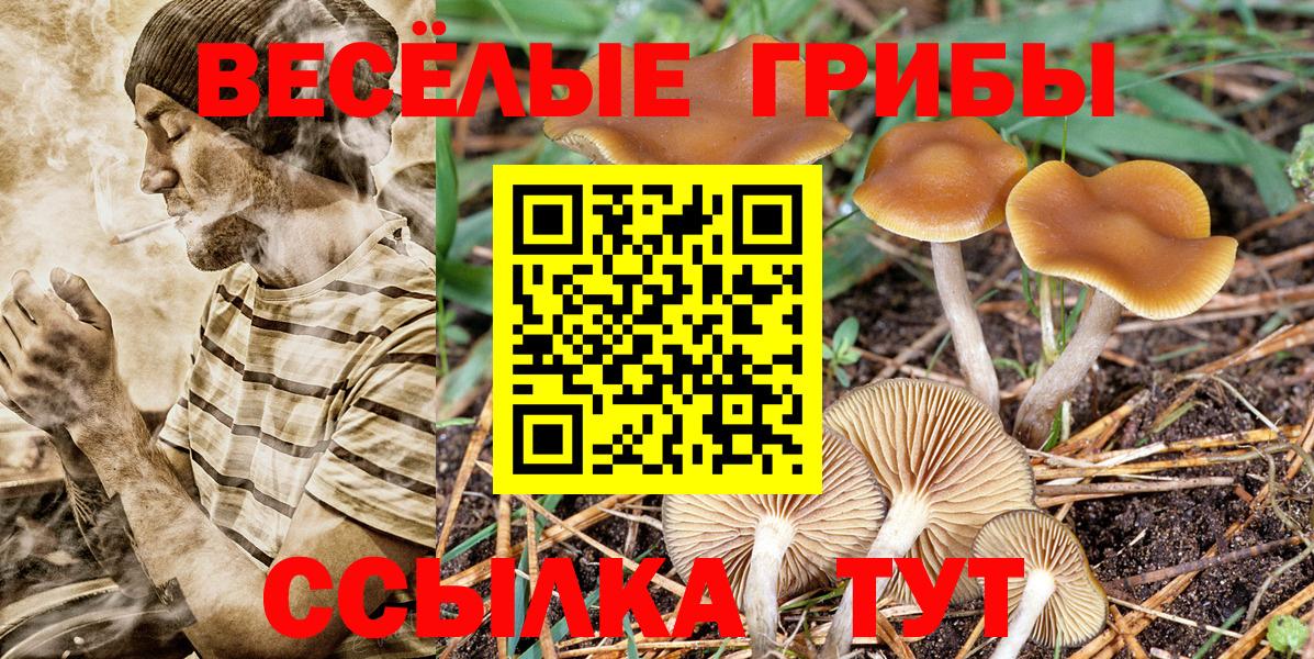 Псилоцибиновые грибы мухоморы Ялта